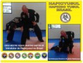 /album/galeria-de-fotos-hapkido-hapkiyusul/banner-sergio-hapkiyusul-torcao-1-jpg1/